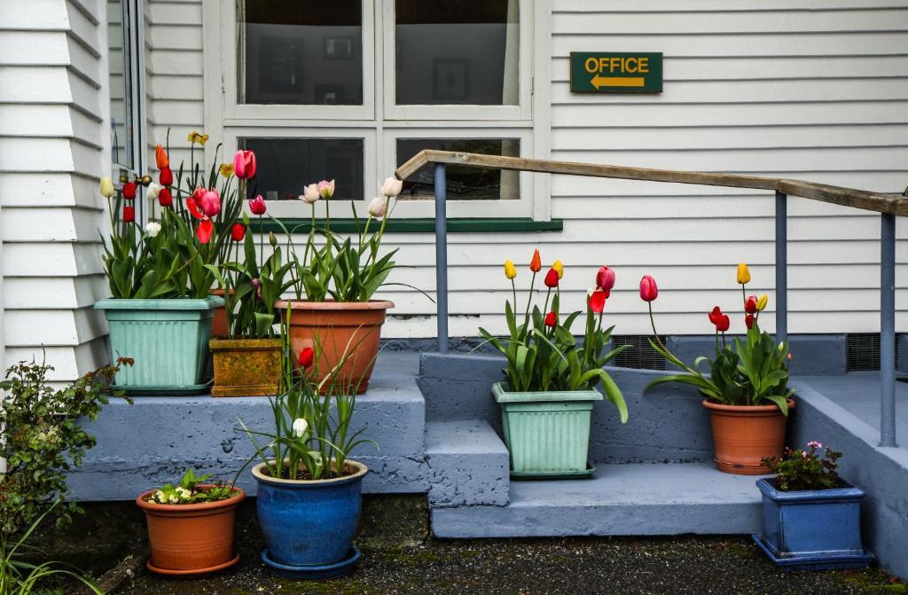 Rainforest Motel Fox Glacier Exterior photo